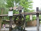 PigeonForge238.jpg