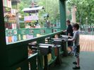 PigeonForge241.jpg
