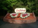 PigeonForge247.jpg