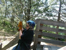 Filename=PigeonForge303.jpg
Filesize=77KiB
Dimensions=576x432
Date added=May 19, 2009 PigeonForge303.jpg