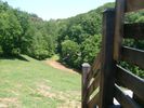 PigeonForge312.jpg