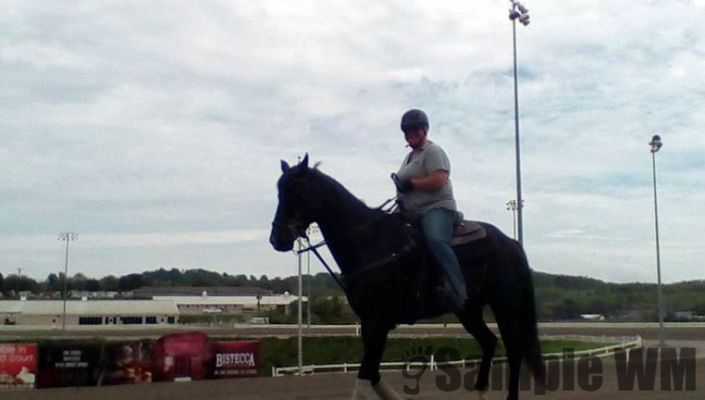 Track steward in case of emergencies
