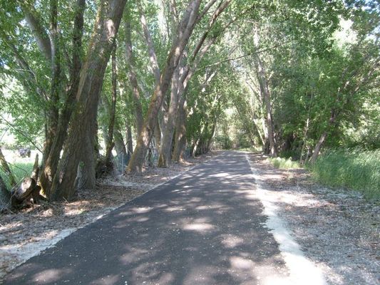 Wonderful river trail behind the campground
