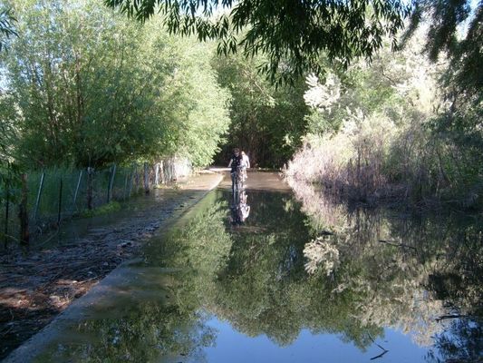 Riding a bike through the flooding
