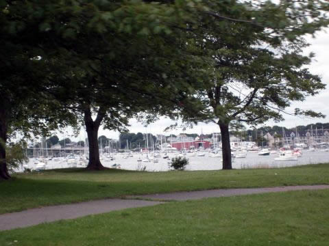 Lovely local park and marina
