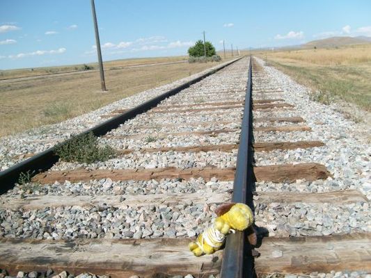 Train! What train?! Hey what's with the ropes? Mommy!
