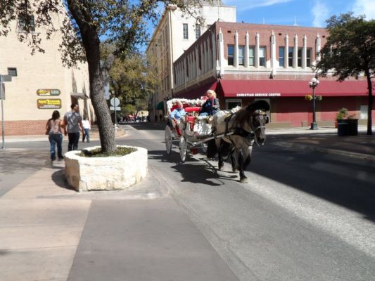 San Antonio horse carriage for hire
