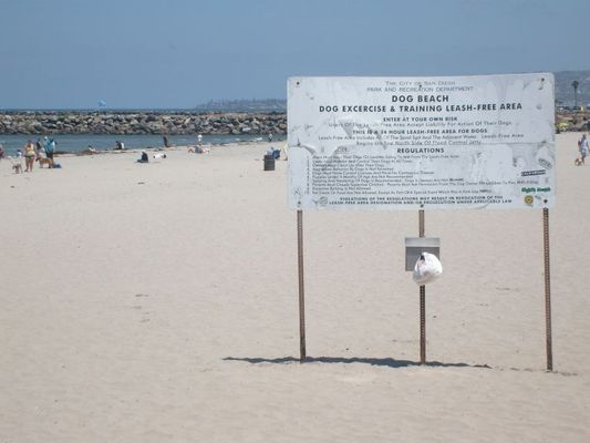 A beach for dogs

