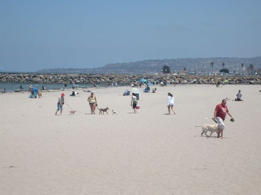 SanDiego002.jpg
