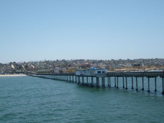 Seafood on the pier
