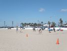 Filename=SanDiego029.jpg
Filesize=74KiB
Dimensions=768x576
Date added=Jul 04, 2011 SanDiego029.jpg