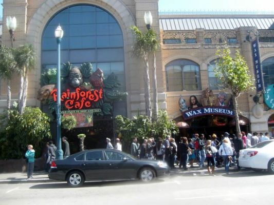 Rainforest Cafe and Wax Museum
