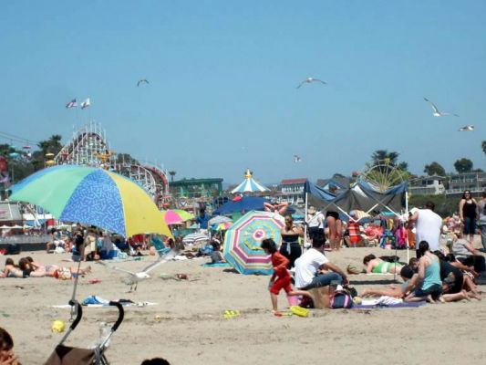 santacruz040.jpg