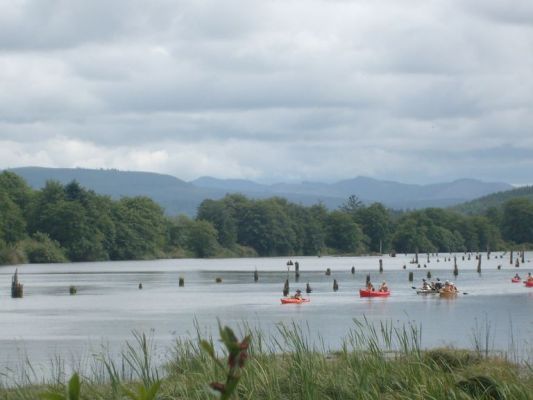 Canoes, kayaks, and logging remnants
The poles you often see in river waters is not for piers but rather to gather harvested logs into rafts to float to the mill or ships.
