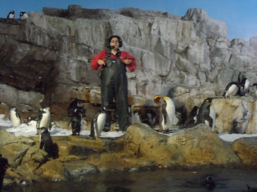 seaworldsa31.jpg