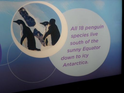 seaworldsa35.jpg