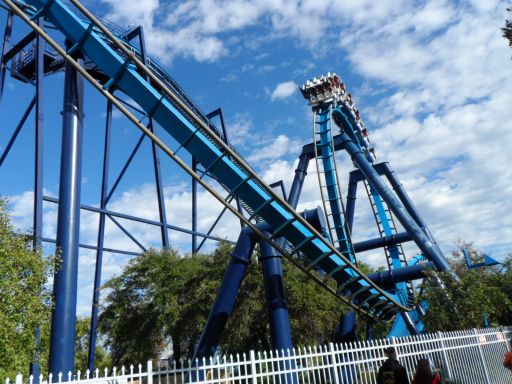 Great White Shark roller coaster
EEK!
