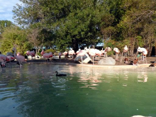 seaworldsa43.jpg
