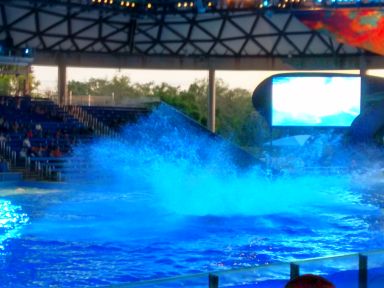 Splash!
