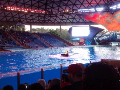 seaworldsa60.jpg