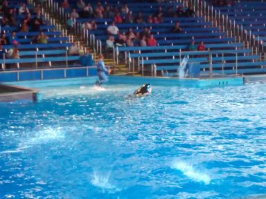 seaworldsa68.jpg