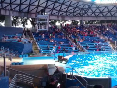seaworldsa71.jpg