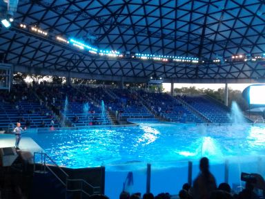 seaworldsa73.jpg
