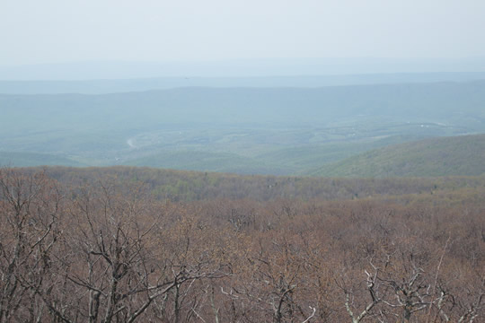 Shenandoah26.jpg
