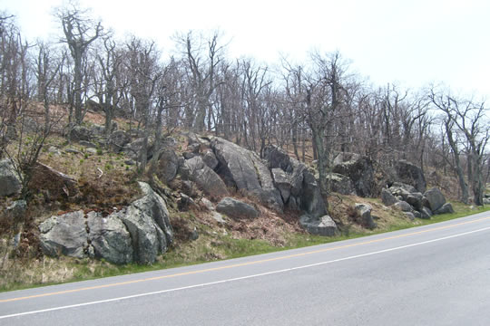 Shenandoah28.jpg