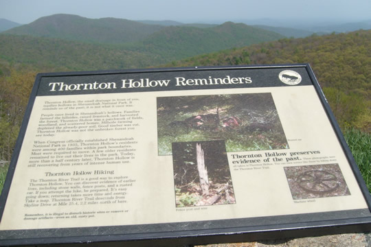 The Hollow
When this was declared a national park, 400 mountain families lived here. They were forced to leave. Some of the older ones refused and were allowed to stay until they died.
