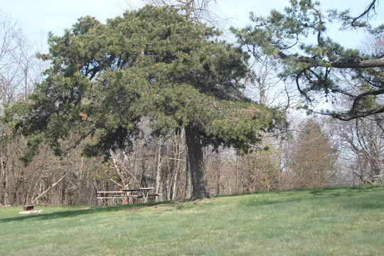 Shenandoah35.jpg