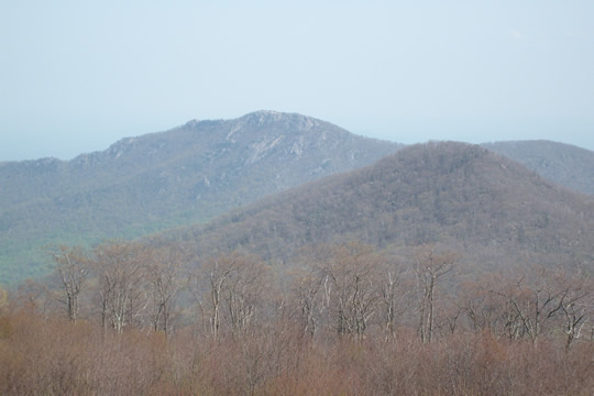 Shenandoah39.jpg