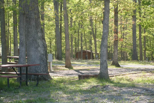 Shenandoah52.jpg