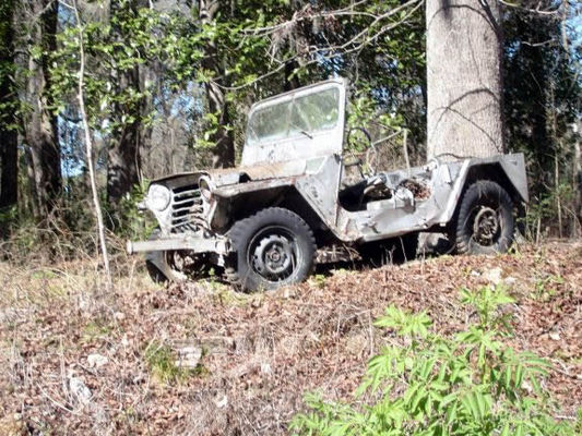 Tarzan's jeep
The Johnny Weismuller Tarzan movies (the best Tarzan!) were shot at Silver Springs. This is a jeep Tarzan, Jane (Maureen Sullivan), and Boy (Johnny Sheffield) drove around the springs in when not shooting.
