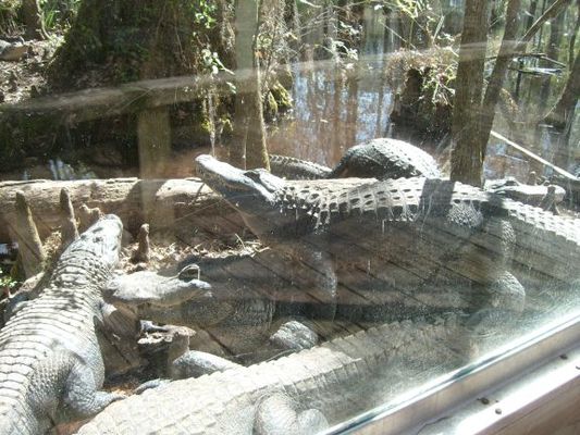 Let's hope the guy on the bottom doesn't have to go pee.
