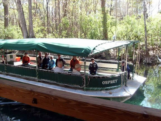 Another cruise boat
There are 3 different boat tours offered at Silver Springs. One covers the springs. One covers local history. One covers nature and animal spotting.
