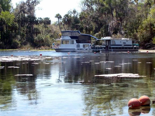 Houseboats at the springs
