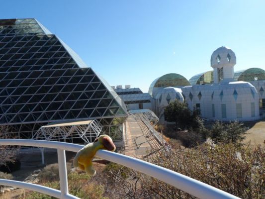 George visits Biosphere 2 
