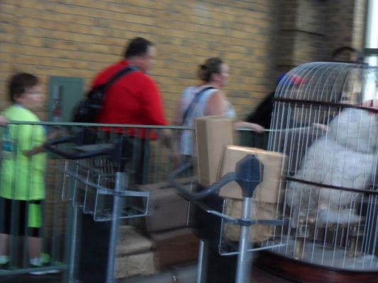 UniversalStudios2018_34.jpg