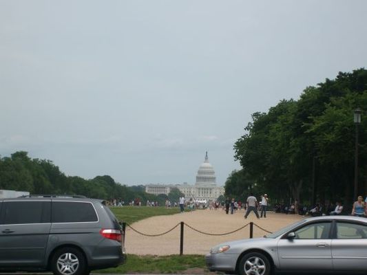 The capitol

