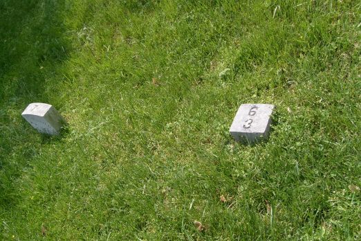Lot number and how many unknown soldiers buried there
