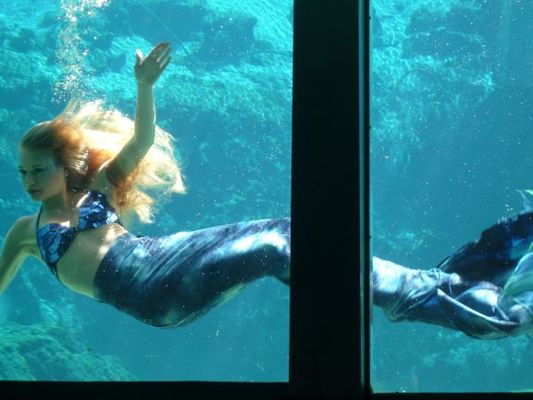 Weeki Wachee Mermaid
