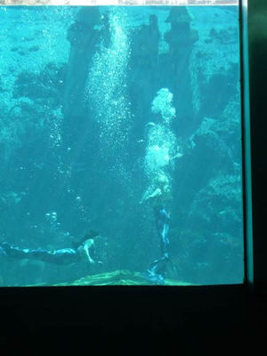 In their dressing room, they have a chute to drop into the water and come out to the underwater theater.
