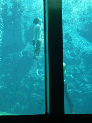 The prince falls in the water during a storm

