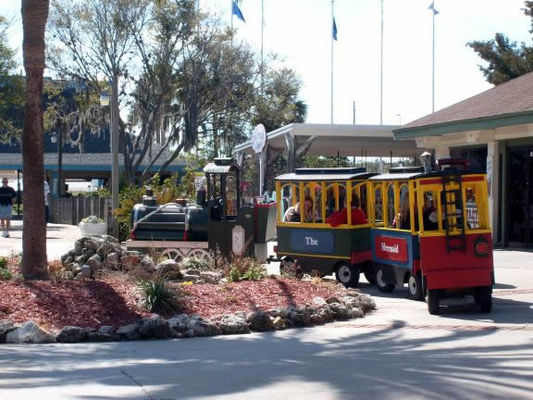 Weeki Wachee Choo Choo
