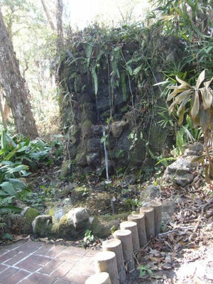 Serenity trail waterfall
