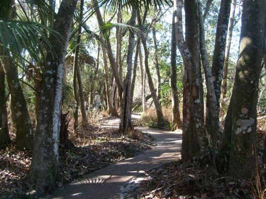 Serenity trail
