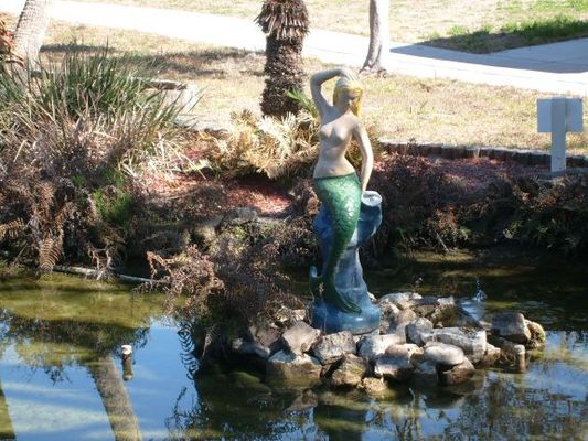 WeekiWachee029.jpg