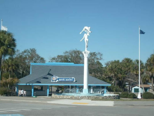 Weeki Wachee Springs
