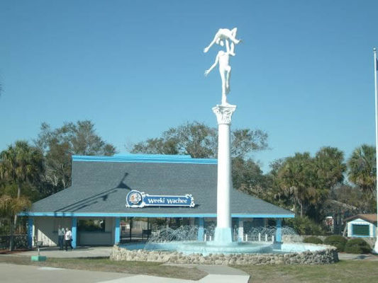 Weeki Wachee Springs
